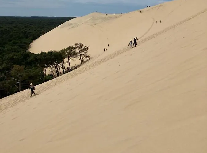 Village Seasonova Bassin D'arcachon